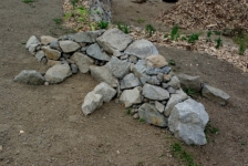Kamenná ještěrka (Veřejná přírodní zahrada v obci Střítež, 25.6.2012)